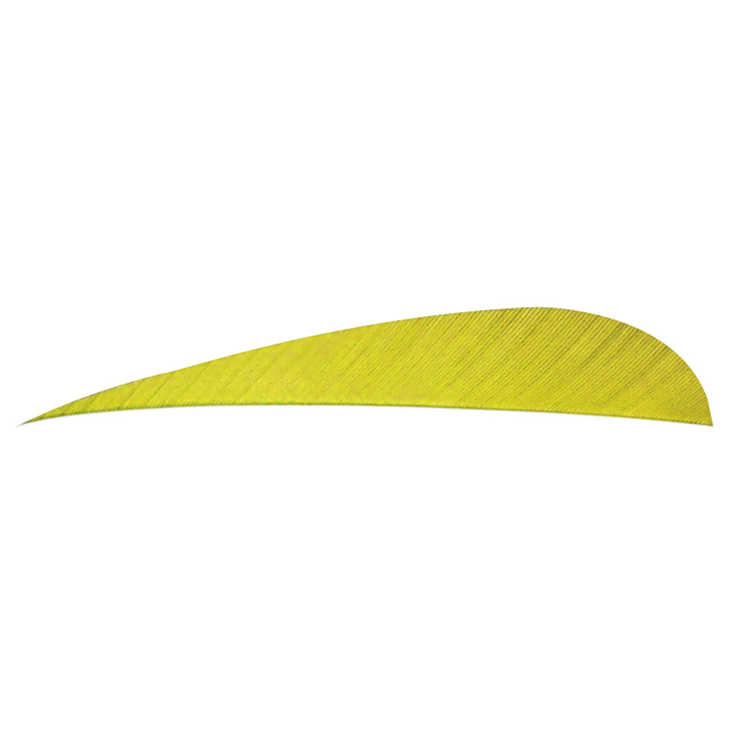 Trueflight Parabolic Feathers Yellow 4 in. RW 100 pk.