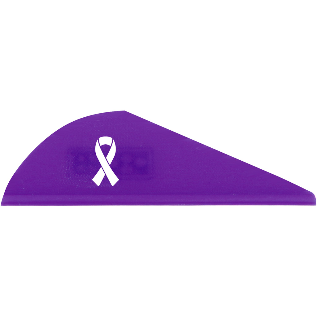 Bohning Blazer Vanes Awareness Purple 36 pk.