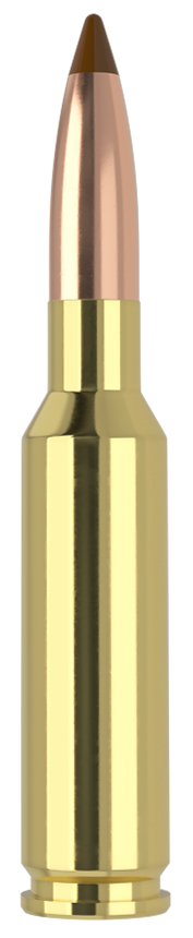 Nosler Ballistic Tip 6.5x55mm Swedish Mauser Polymer Tip 140 Grain 20 Rounds