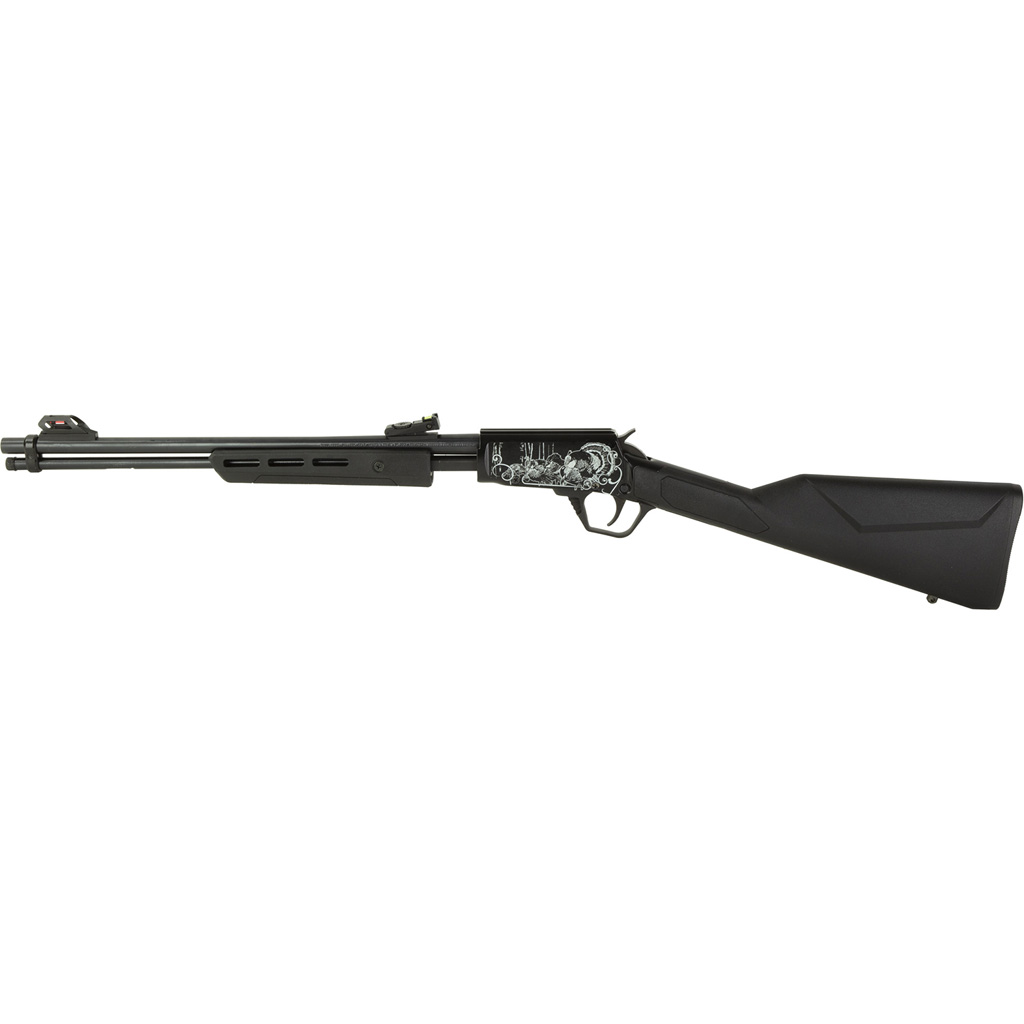 Rossi Gallery Gun 22 LR. 18 in. Turkey