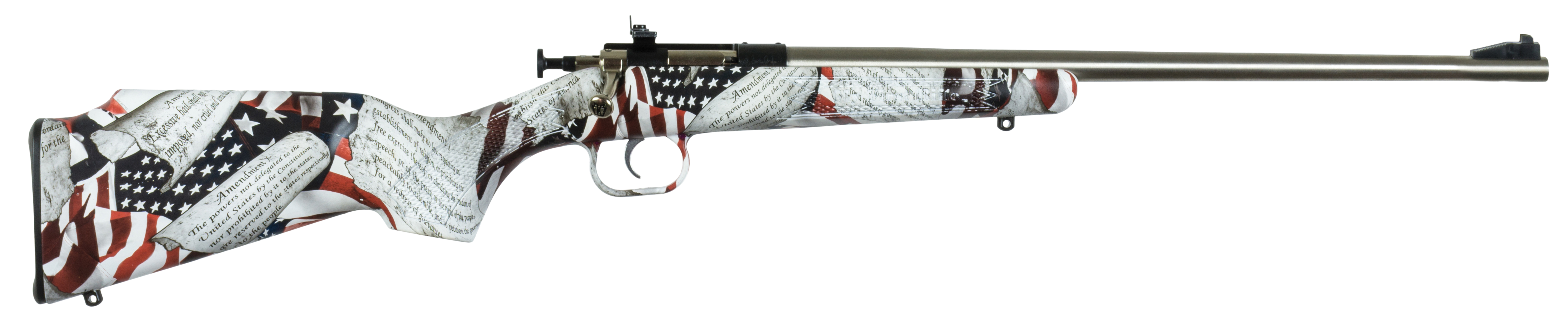 Keystone Crickett Rifle 22 LR 16 in. Amendment Stainless