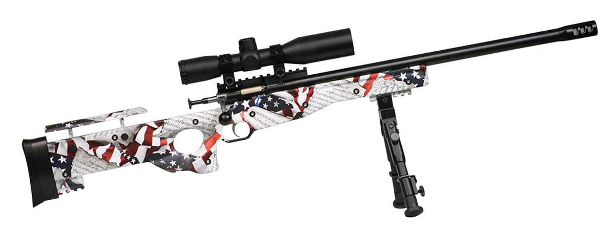 Keystone Crickett Precision Rifle Package 22LR Amendment Blued