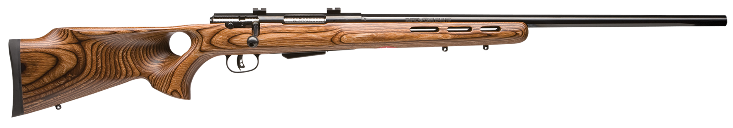 Savage Model 25 Lightweight Varminter-T 204 Ruger 24 in 4 Rounds Wood Laminate