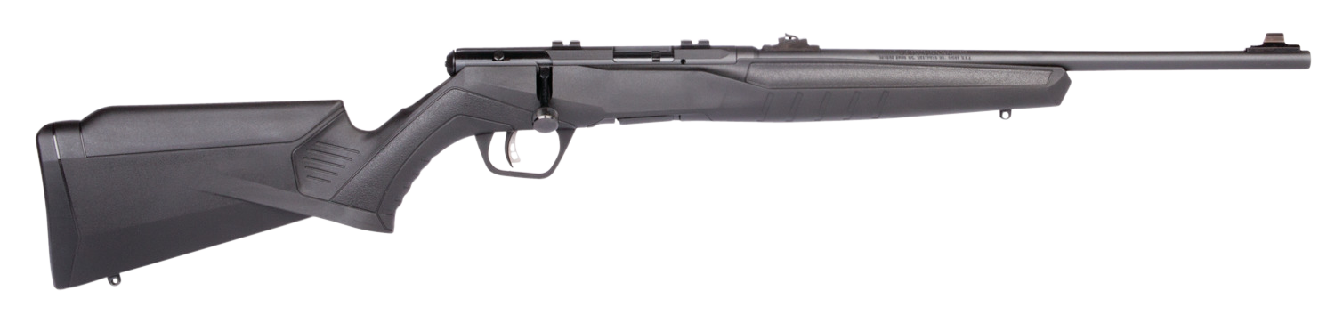 Savage B22 F Compact Rifle 22 Long Rifle 18 Inch 10 Rounds Matte Synthetic