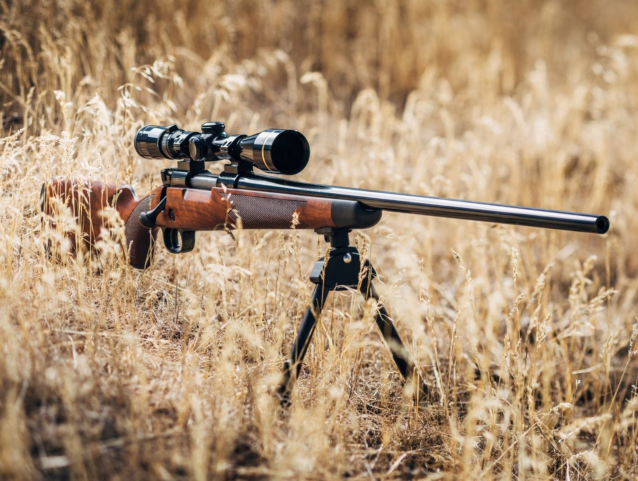 Winchester, Model 70 Supergrade, 6.5 Creedmoor, 22 inch, 4+1 Capacity, Walnut Finish, Right Hand