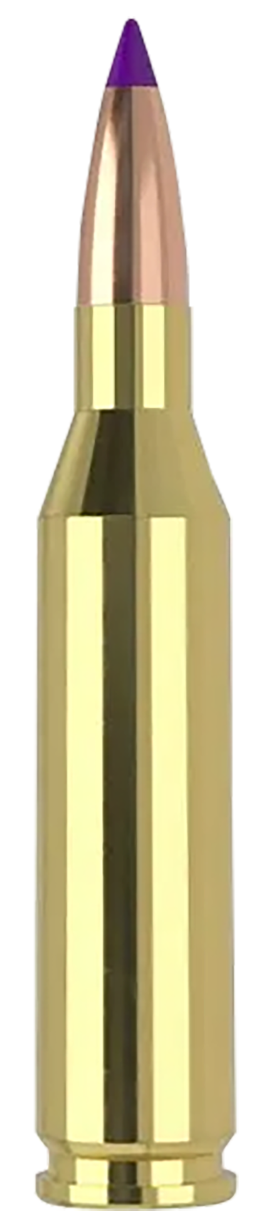 Nosler Ballistic Tip 243 Winchester Soft Point 70 Grain 20 Rounds