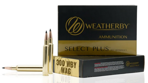 300 Weatherby Magnum