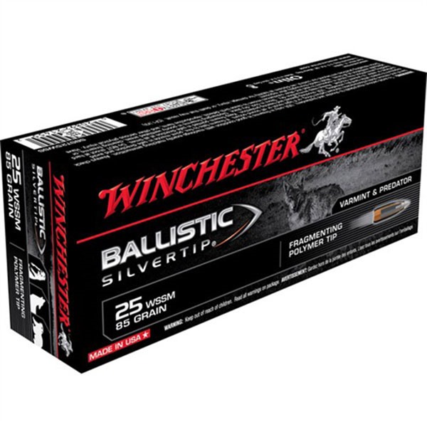 25 Winchester Super Short Magnum (WSSM)