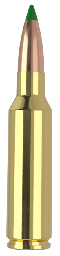 Nosler Ballistic Tip 300 Winchester Short Magnum 165 Grain 20 Rounds