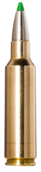 Norma Ammunition 20177512 Ecostrike 300WSM 165gr 20 Rounds