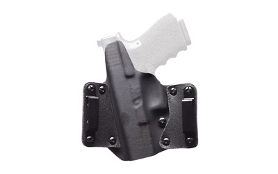 Blk Pnt Lthr Wing S&w Gov Rh Bk