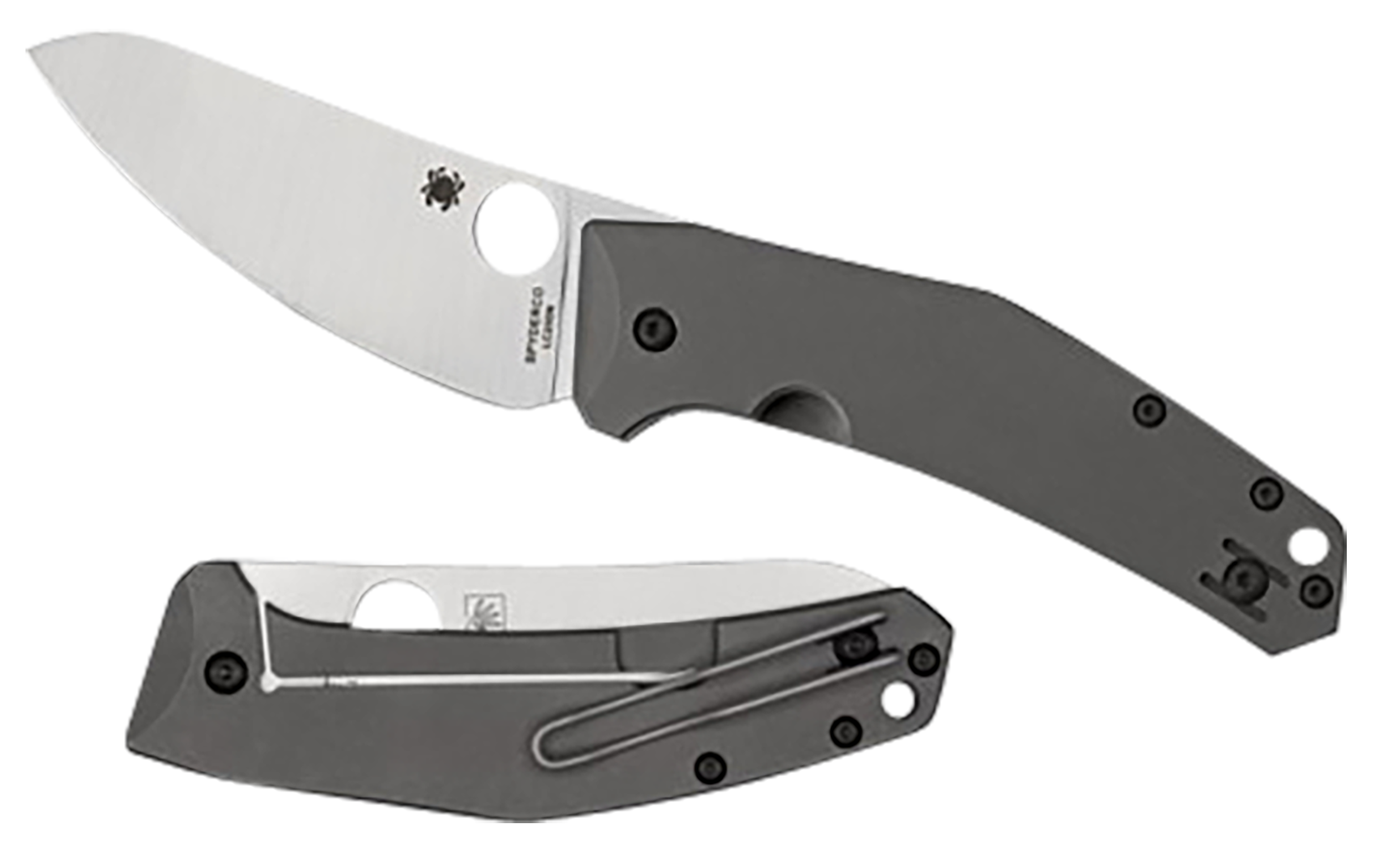SpydieChef