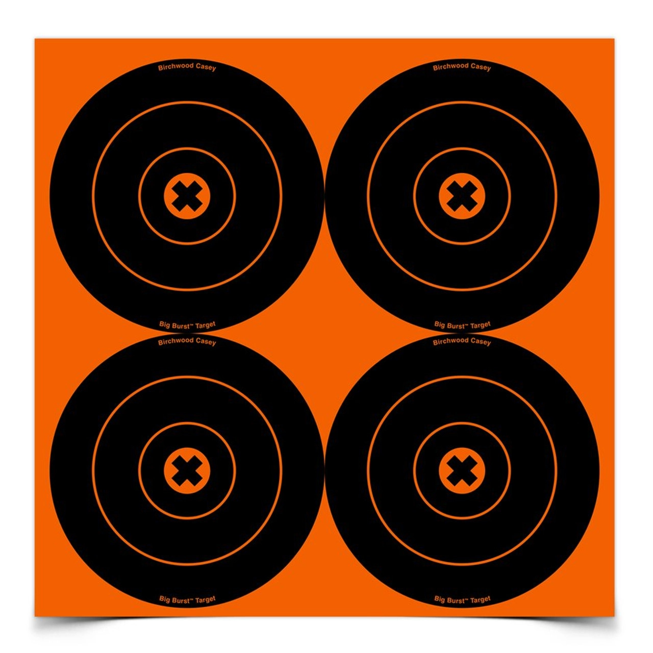 Bc Big Burst 6 Target 12/pkg