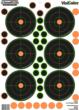 Champ 25 Yd Sm Bore 5pk W/90 Pastors