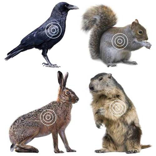 Lym Varmint Target Roll 