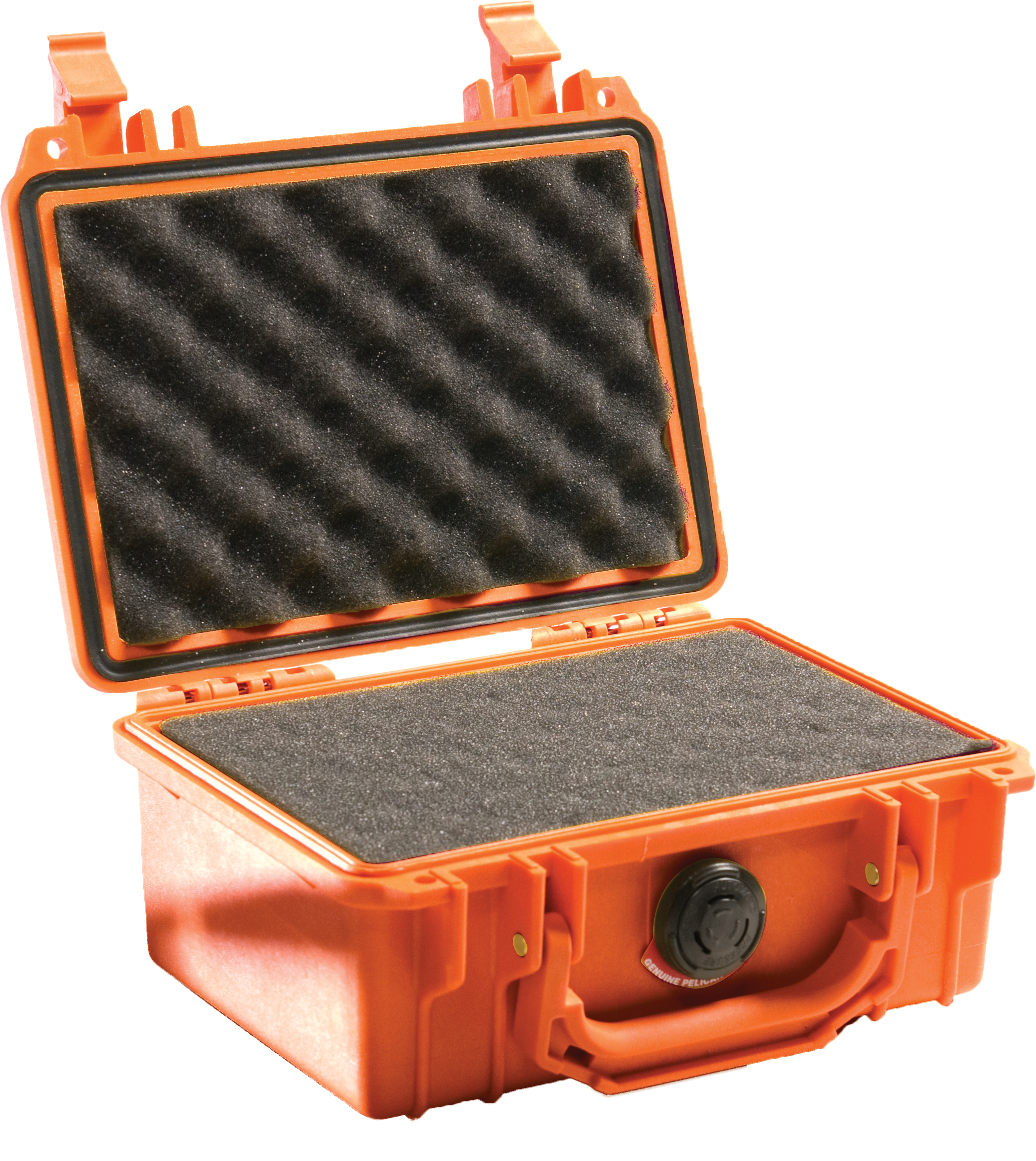 1120 Protector Case