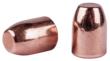 Speer 4713 Handgun Plinking  40 Caliber .400 180 GR Flat Nose 500 Box