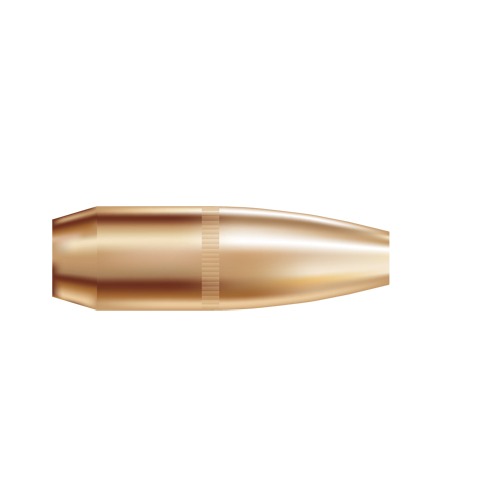 Nosler AccuBond Bullets .366 cal .366" 250 gr SBT-ACB w CANN 50/ct