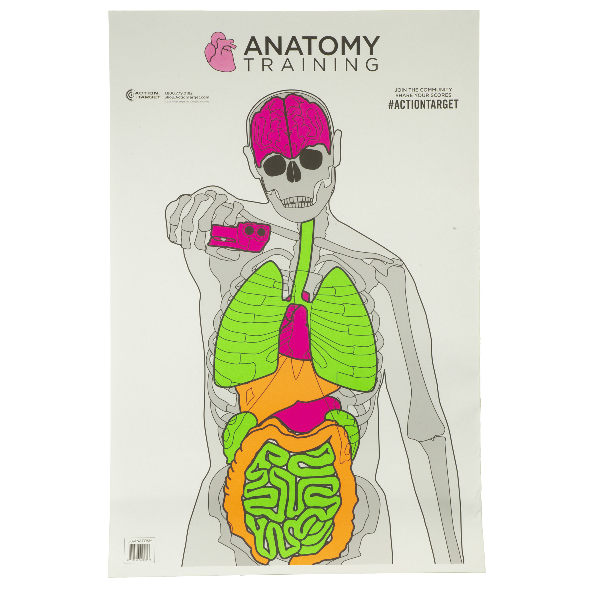 Action Target GSANATOMY100 Entertainment Training Silhouette/Vitals Paper Target 23" x 35" 100 Per Box