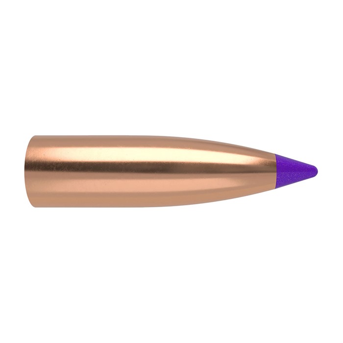 Nosler Ballistic Tip Lead Free Varmint Bullets 6mm .243" 55 gr SPTFB-BTLF 100/ct
