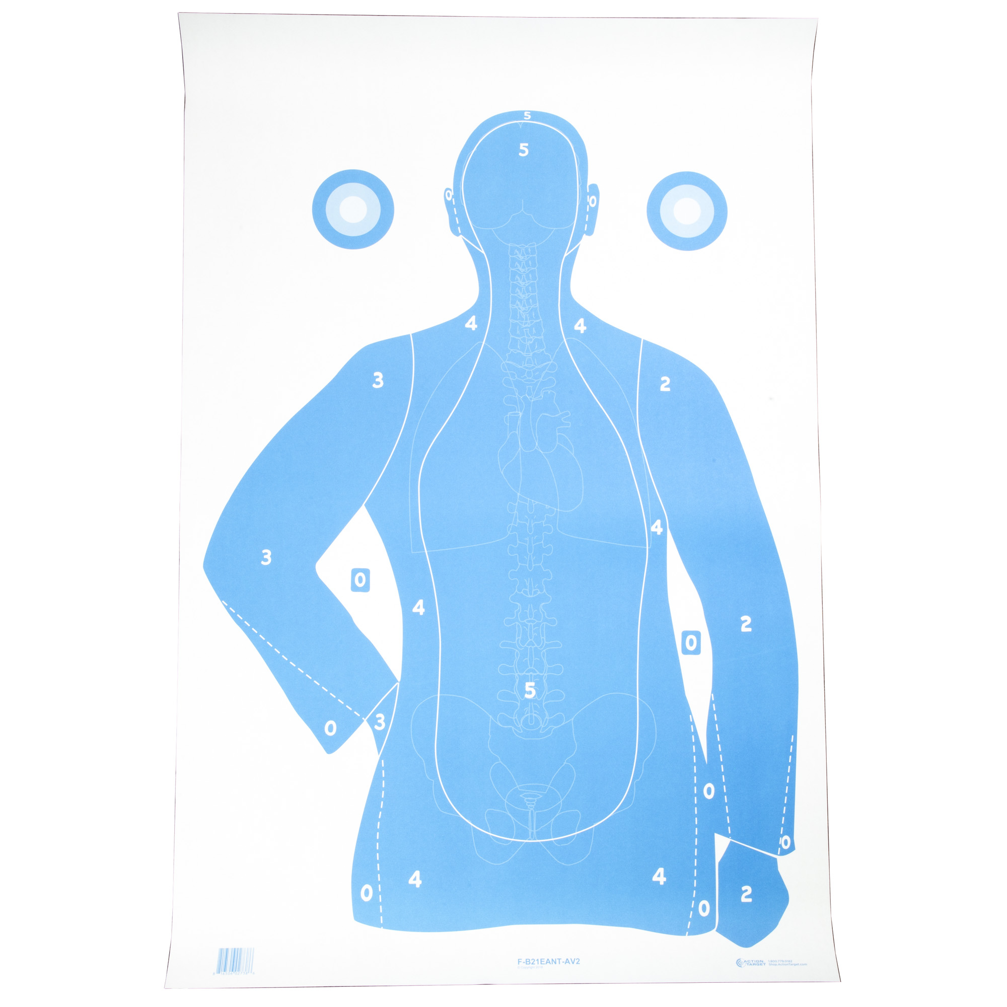 Action Target FB21EANTAV2100 Qualification  Silhouette/Vitals Paper Hanging 23" x 35" Blue/White 100 Per Box
