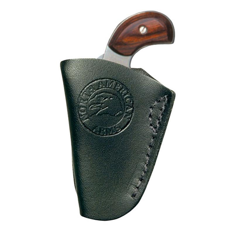 Inside Pant Holster W/Clip 22 Mag Blk