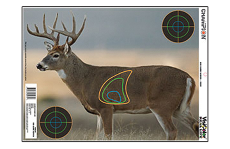 Cham Visicolor Real Life Deer