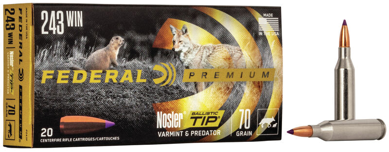 Federal Prem 243 Winchester Nosler Ballistic Tip 70 Grain 20 Rounds