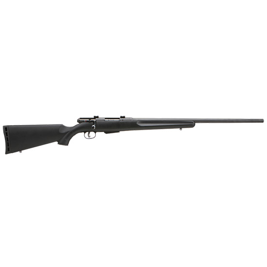 Savage Model 25 Walking Varminter 17 Hornet 22 in 4rd Detachable Magazine Matte Finish