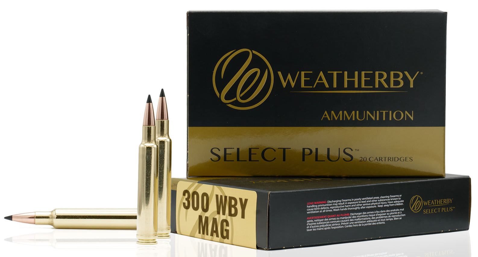 Weatherby 300 Weatherby Magnum 0.308 Sierra Tipped Gameking 180 Grain 20 Rounds