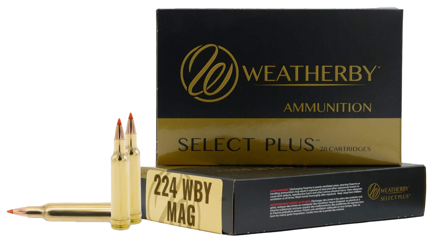 Weatherby .224 Weatherby Magnum Hammer Custom 37 Grain 20 Rounds
