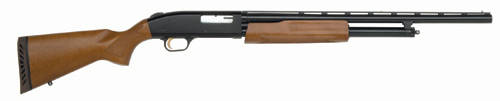 500 Bantam-img-0