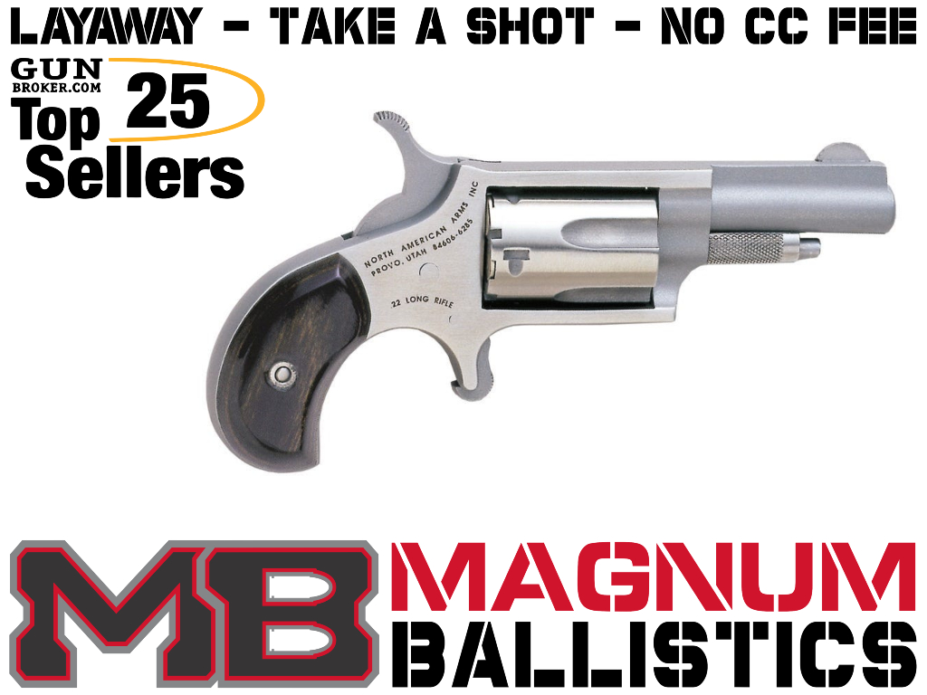 NAA Mini-Revolver 22LR 744253000010-img-0