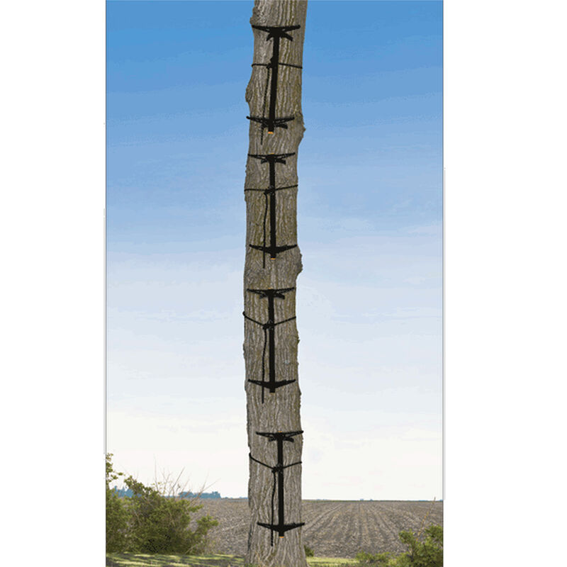 Muddy Outdoors Pro Climbing Sticks Aluminum 20" Black 4 Pack Hunting