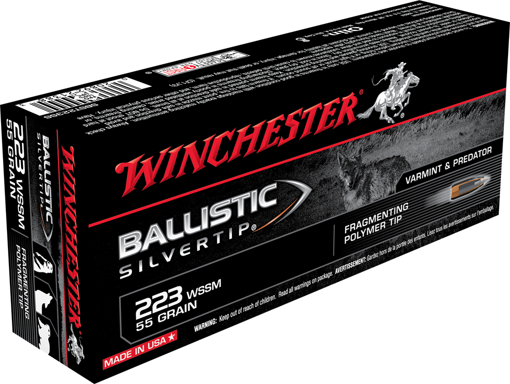 .223 WSSM 55GR 20RDS SLVRTP