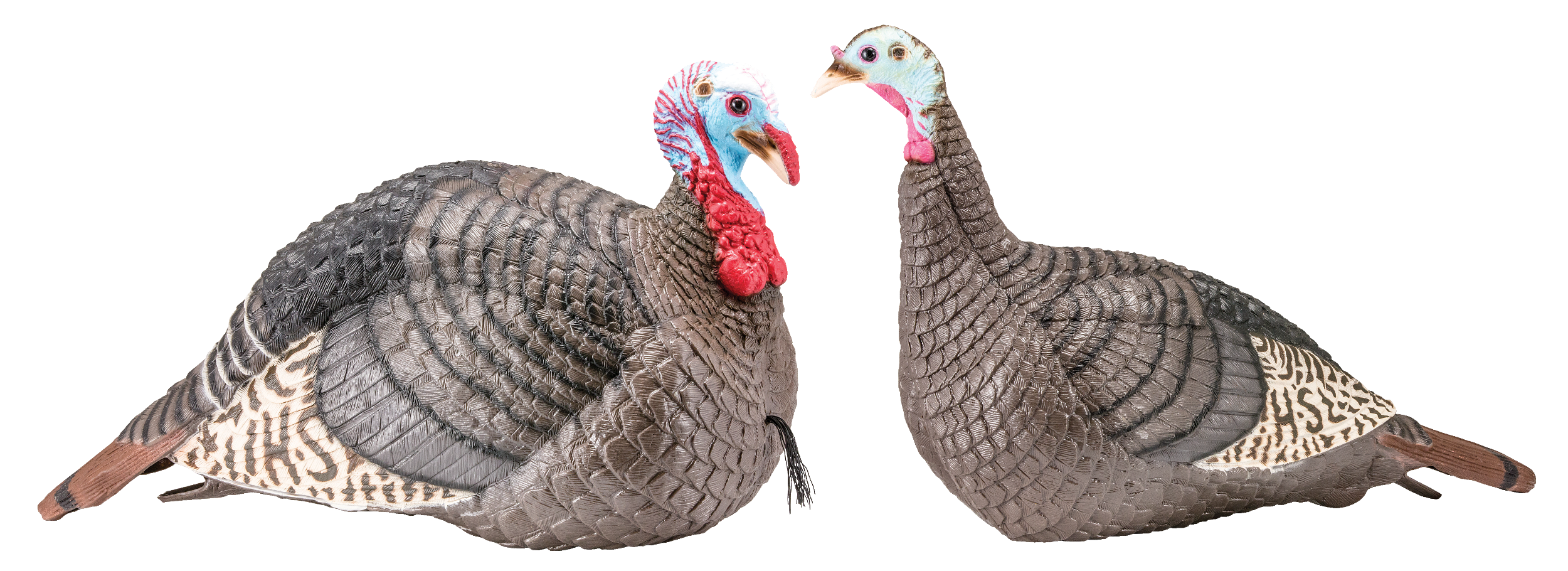 HS Strut 100005 Strut-Lite Jake & Hen Combo Wild Turkey Species Multi Color Synthetic