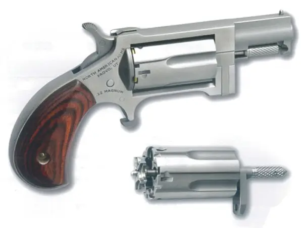 NAA SIDEWINDER MINI-RVLVR 22LR/M SS
