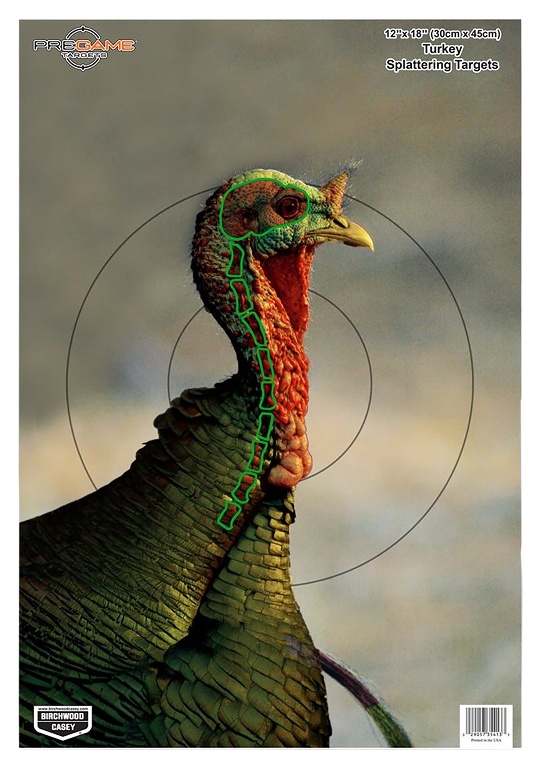 Birchwood Casey 35403 Pregame Turkey Paper Hanging Universal 12" x 18" Multi-Color 8 Per Pkg