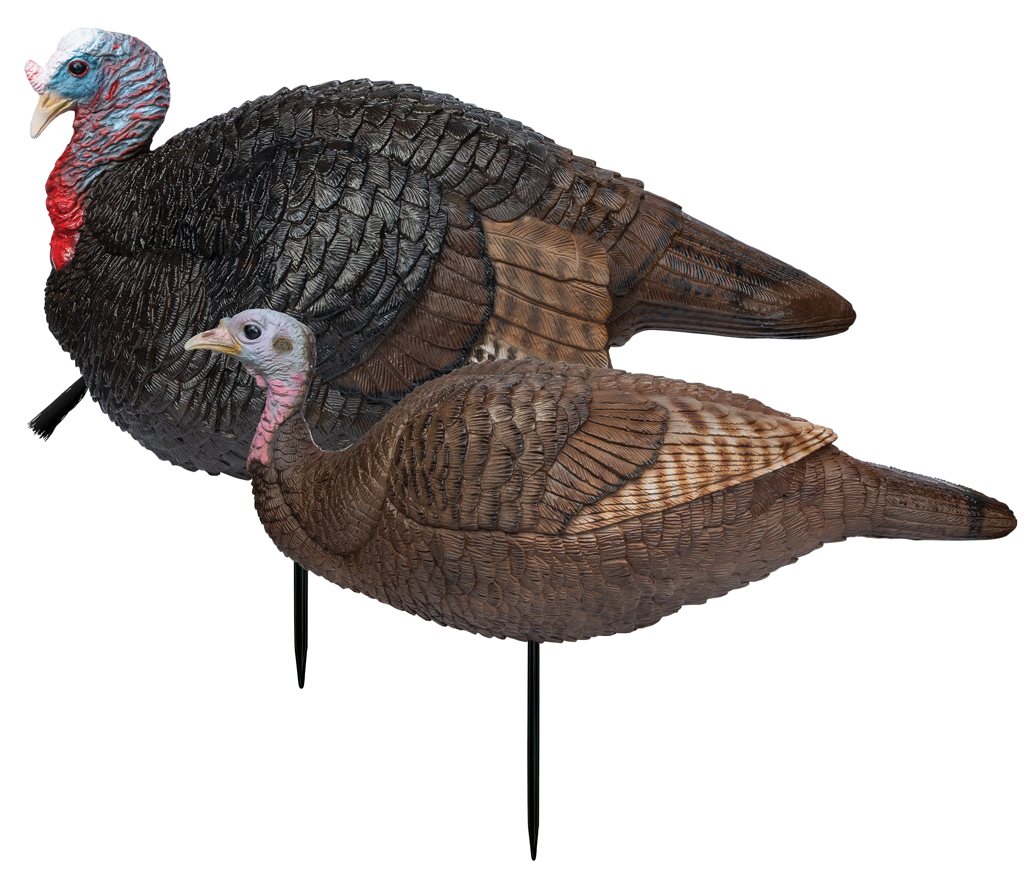 Primos 69075 Lil' Gobblestopper Jake & Hen Combo Turkey Species Multi Color