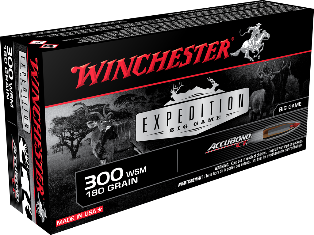 d.300 WIN SHORT MAG 180GR PTBT
