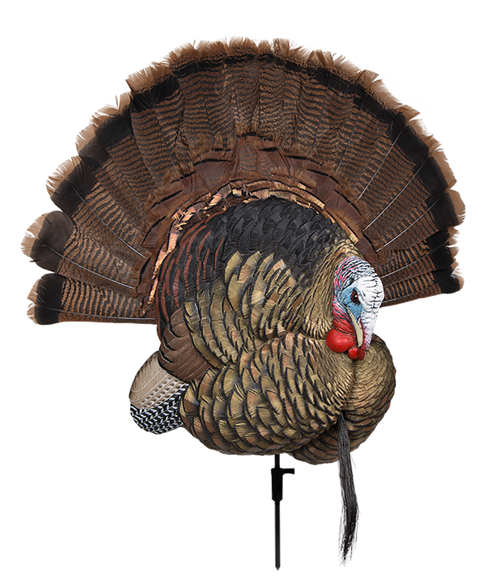 Avian X AVXAVX8021 Trophy Tom  Turkey Species Multi-Color *No Fan