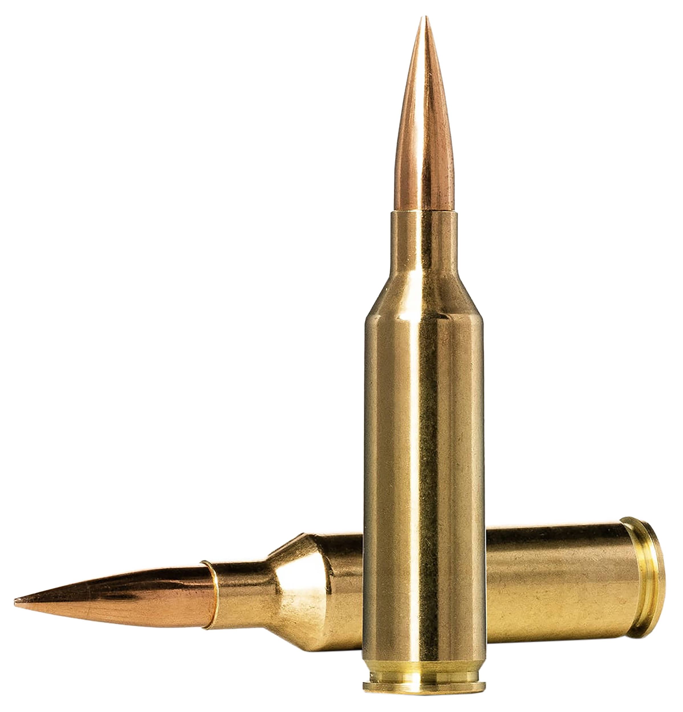 Norma Ammunition 10166462 Dedicated Precision Golden Target Match 6.5PRC 143gr Hollow Point Boat Tail 20 Per Box/10 Case
