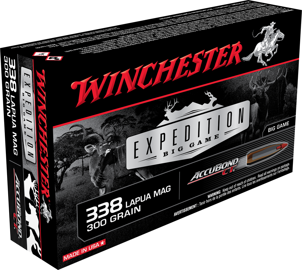 d.338 LAPUA 300GR PTBT PLMR TIP