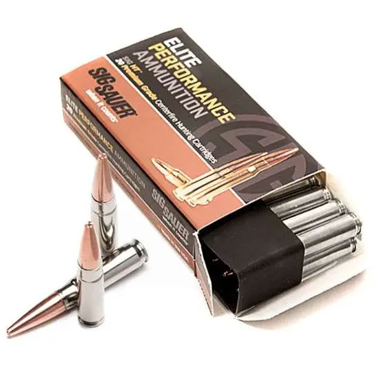 dSIG SAUER ELITE HUNTING 300 BLK HT 120GR 20RD