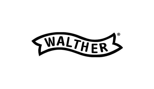 Walther P22Q 22 LR 10rd Silver Pistol