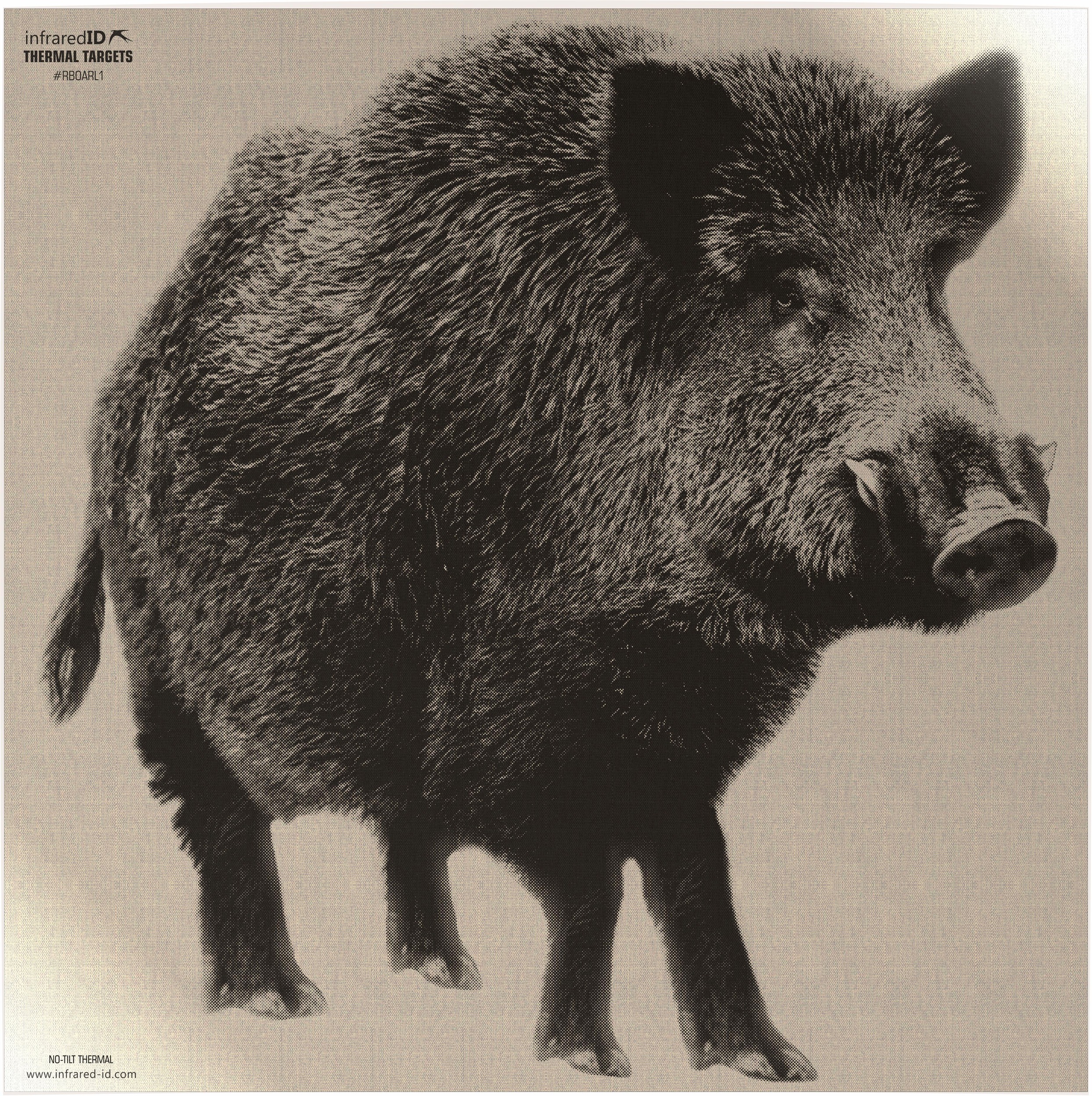 Infrared-ID Boar Thermal Imaging Target