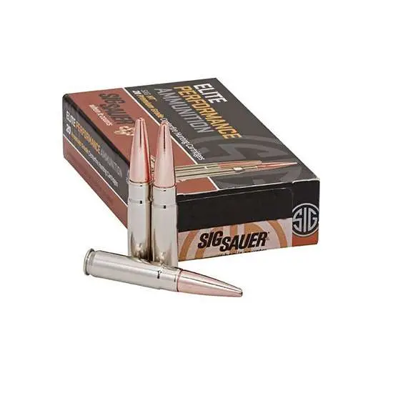 SIG SAUER SBR 300BLK 205GR SUBSONIC 20RD BX