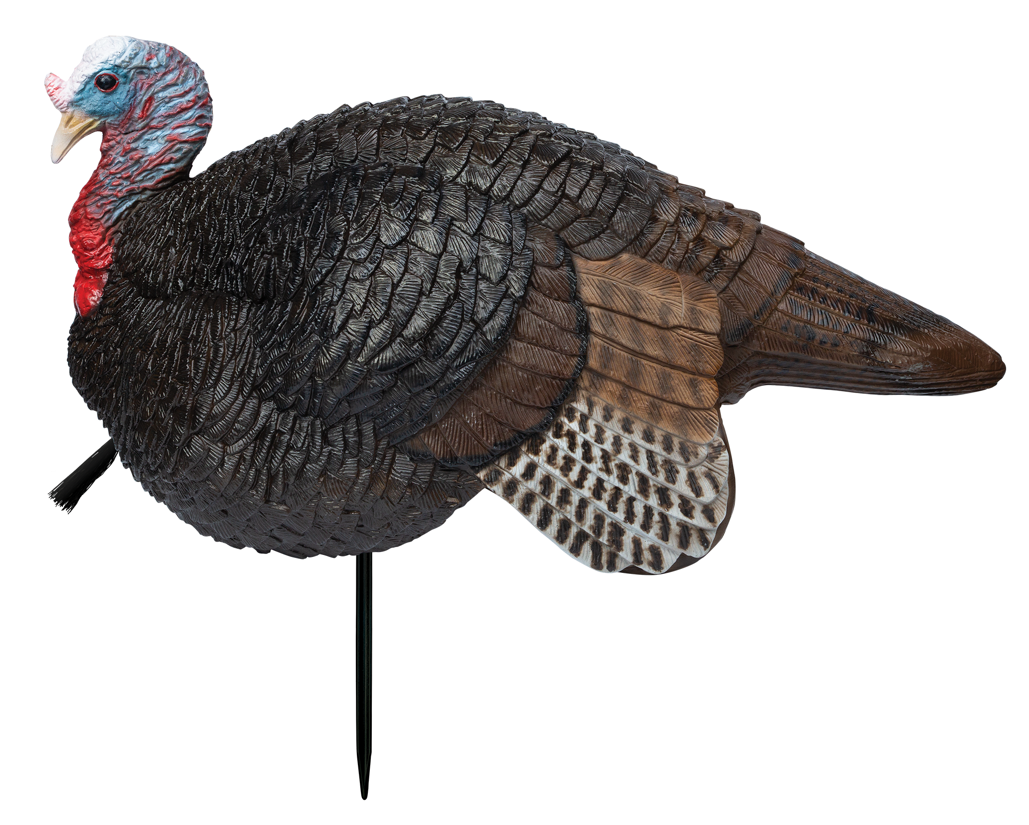 Primos 69074 Lil' Gobstopper Jake Turkey Species Multi Color