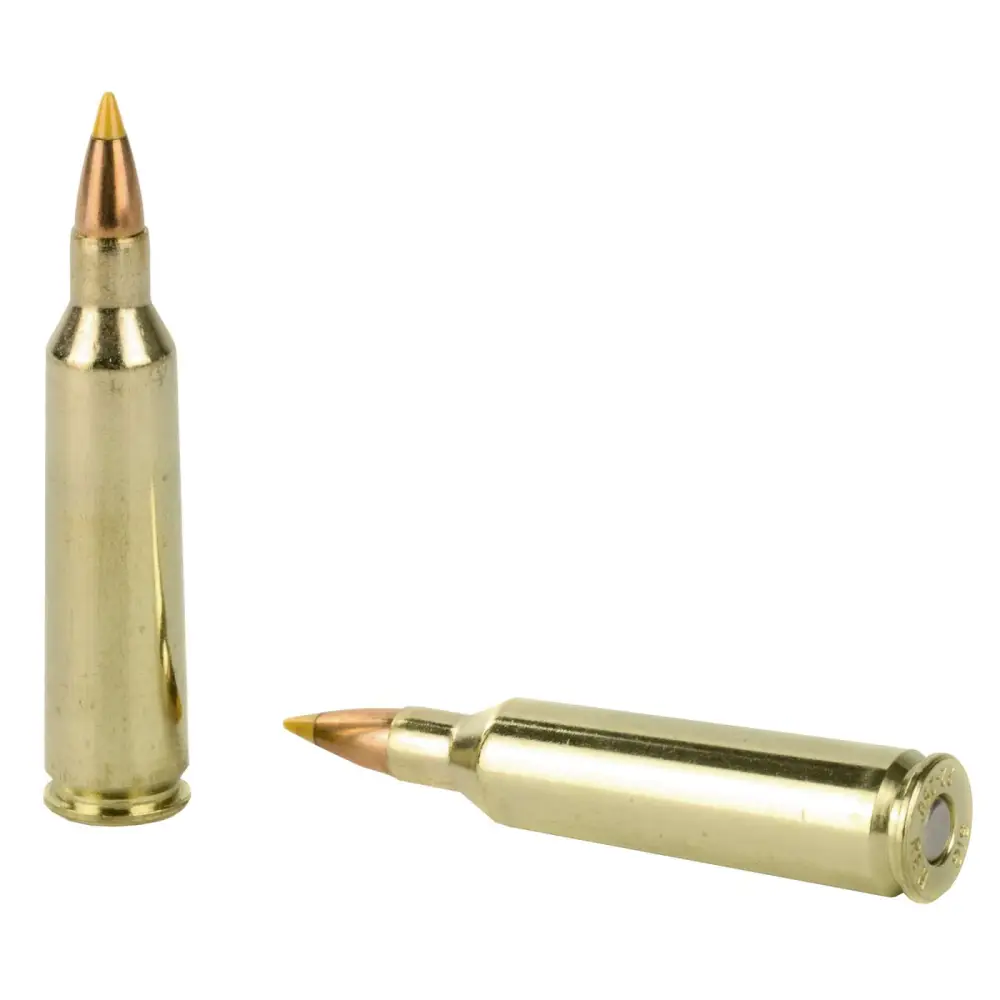 SIG 22-250 REM, 40GR,VARM/PRED 20