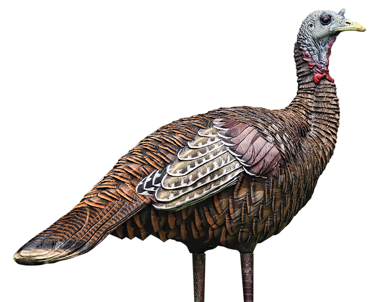 Avian X AVXAVX8006 LCD Lookout Hen Turkey Species Multi Color Dura-Rubber